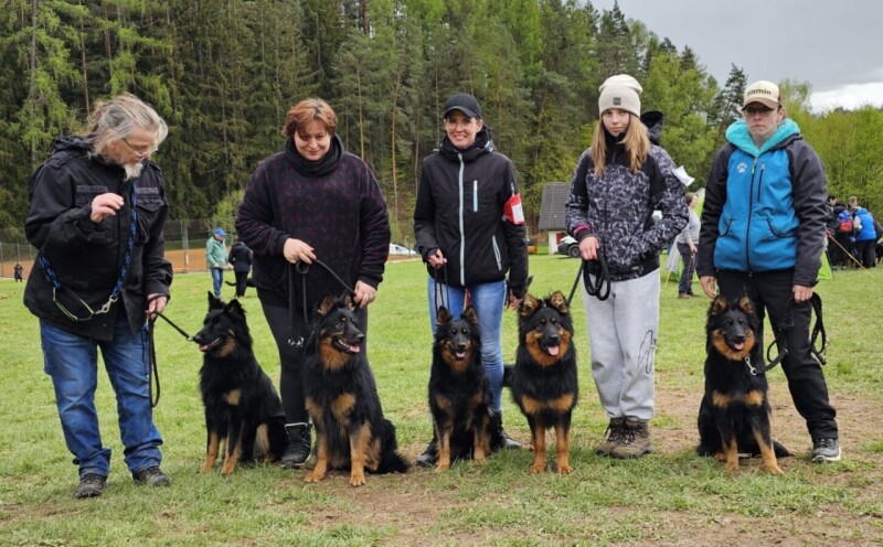 Cristiano, Brit, Tesi, Cir, Cita - náš odchov na klubové výstavě Pecka